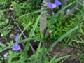 20100717025416