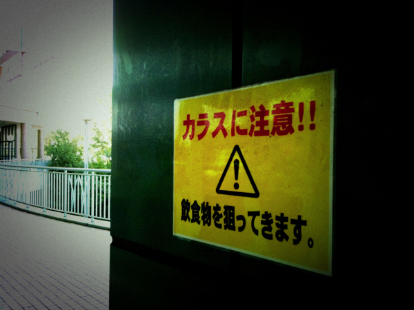20100930223153