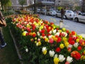 20110519204424