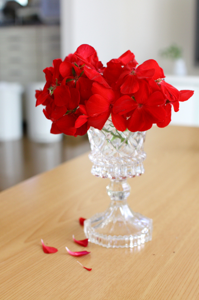 f:id:par321:20160416233000j:plain