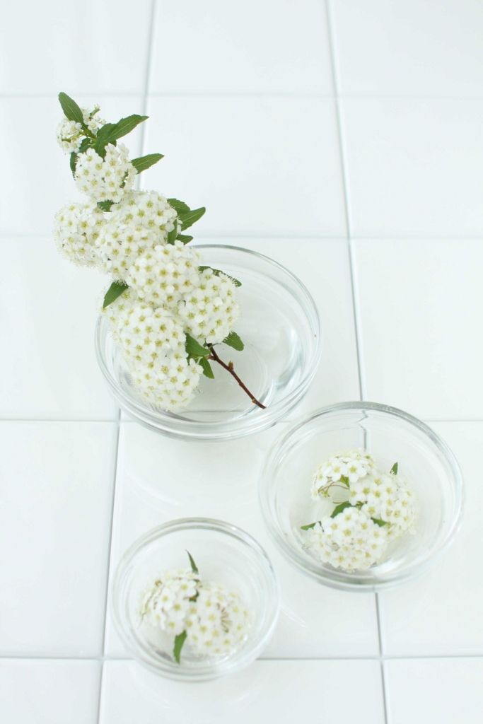 f:id:par321:20160423105755j:plain f:id:par321:20160423105755j:plain