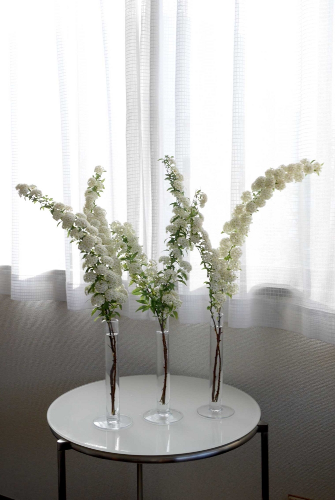 f:id:par321:20160505130017j:plain f:id:par321:20160505130017j:plain