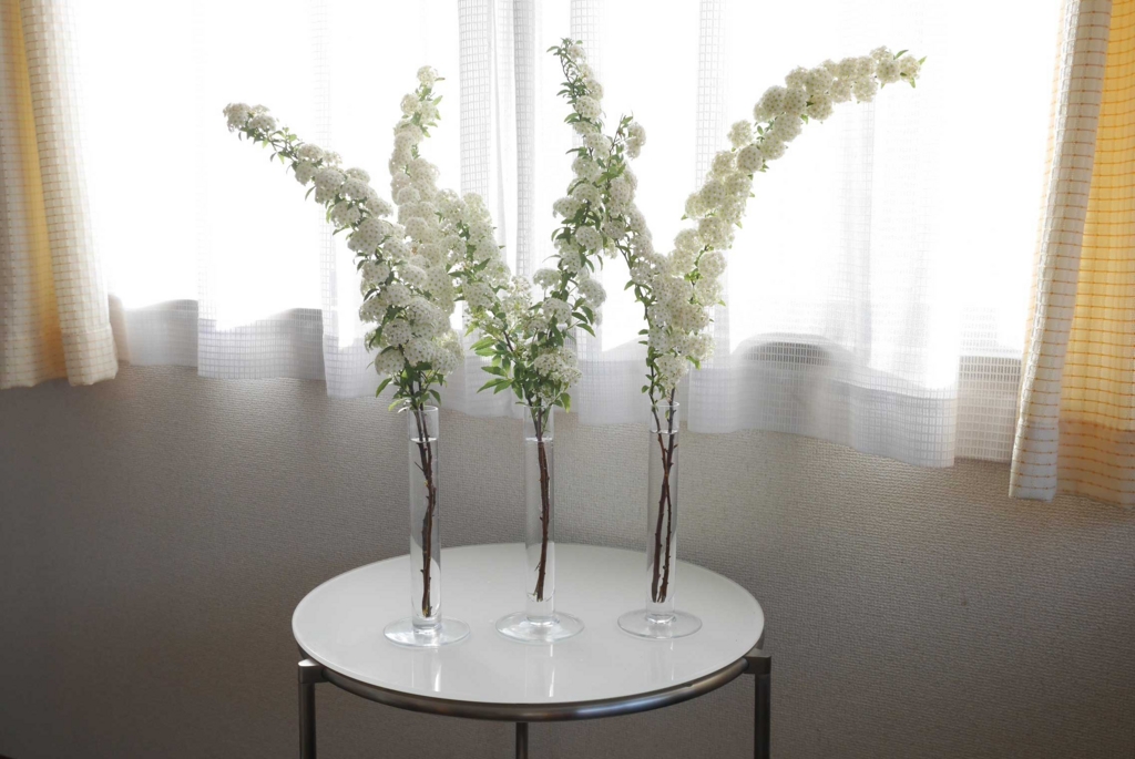 f:id:par321:20160505130037j:plain f:id:par321:20160505130037j:plain