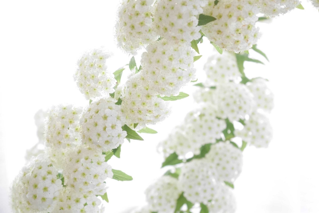 f:id:par321:20160505130101j:plain f:id:par321:20160505130101j:plain