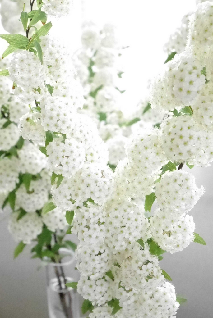 f:id:par321:20160505130213j:plain f:id:par321:20160505130213j:plain