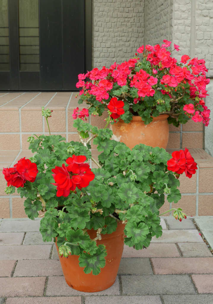 f:id:par321:20160507185155j:plain