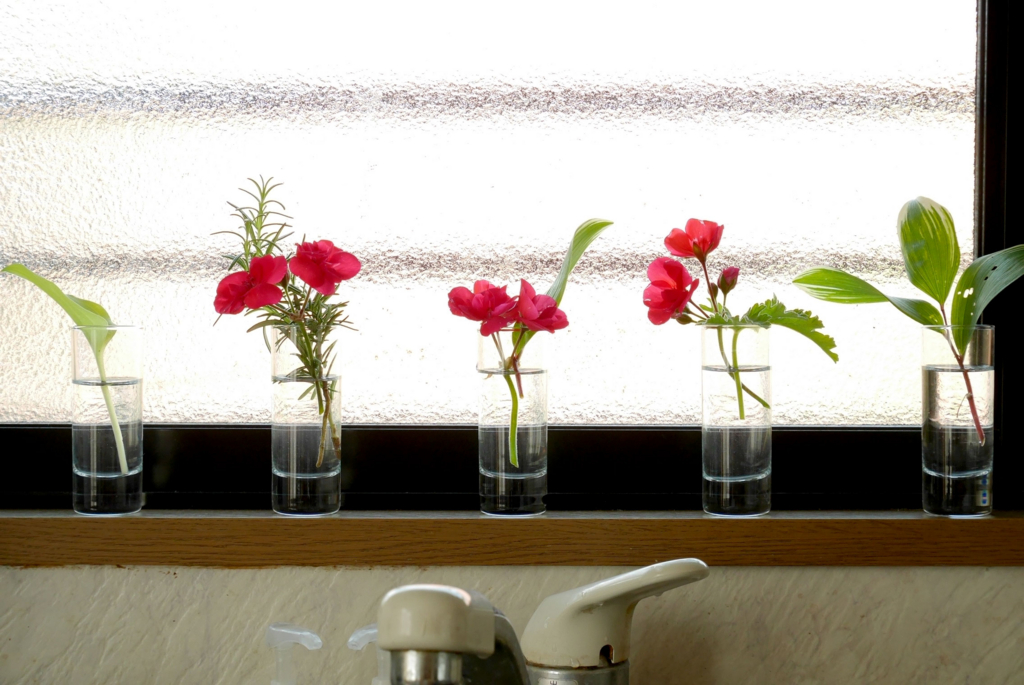 f:id:par321:20160507185821j:plain