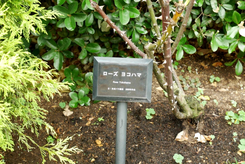 f:id:par321:20160610195719j:plain f:id:par321:20160610195719j:plain