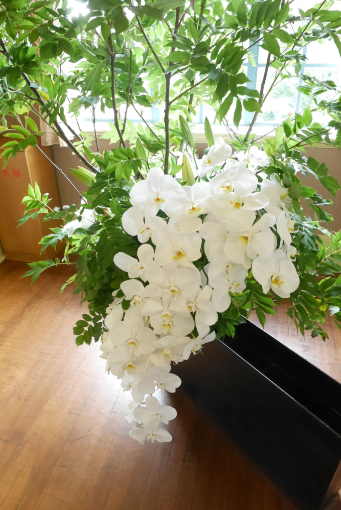 f:id:par321:20160610202222j:plain f:id:par321:20160610202222j:plain