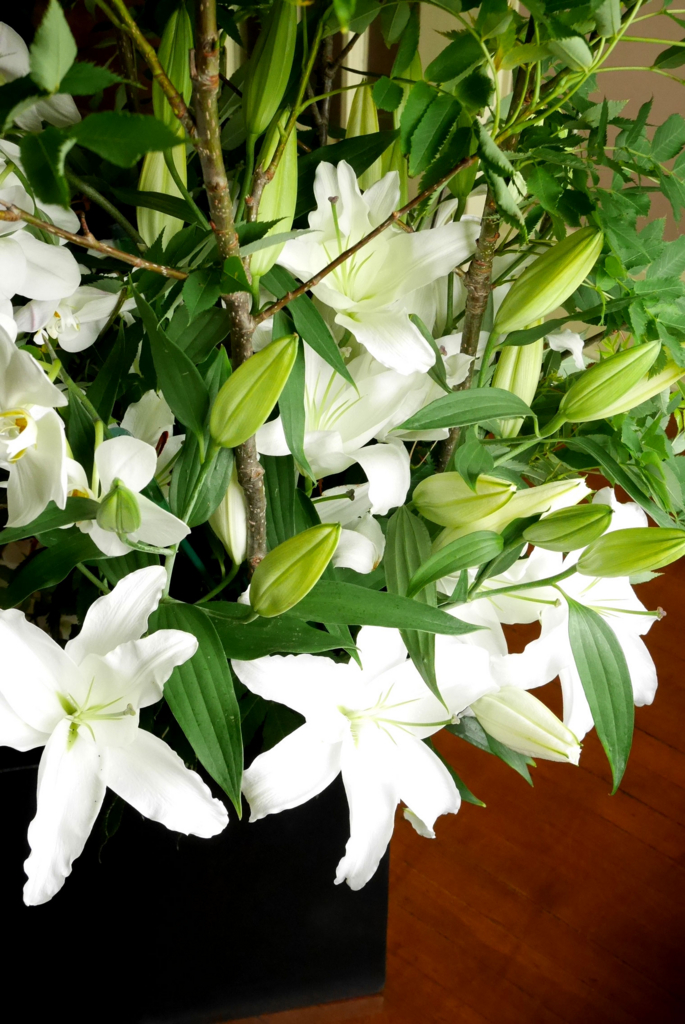 f:id:par321:20160610202246j:plain f:id:par321:20160610202246j:plain