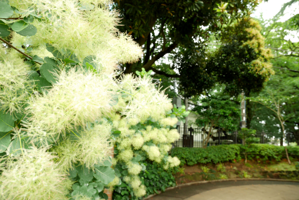 f:id:par321:20160610203003j:plain f:id:par321:20160610203003j:plain