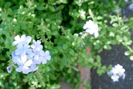 f:id:par321:20160716085838j:plain