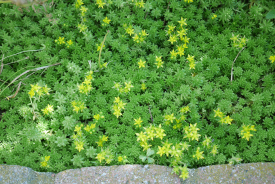 f:id:par321:20160716085904j:plain