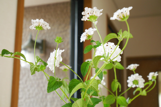 f:id:par321:20160819212535j:plain f:id:par321:20160819212535j:plain