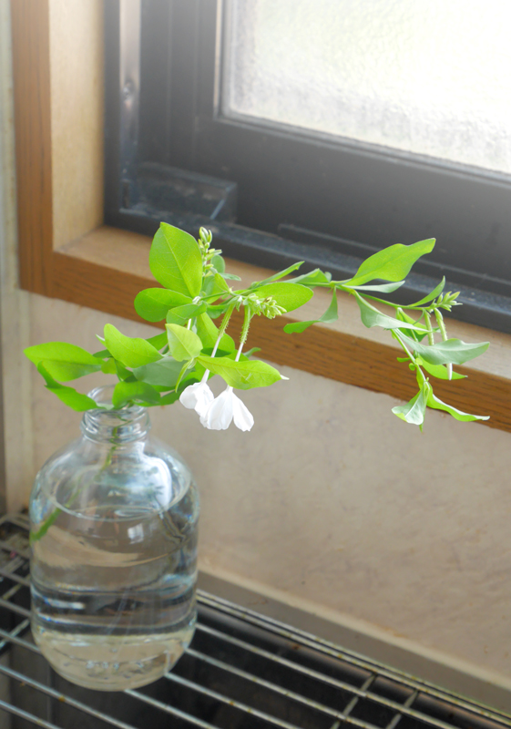 f:id:par321:20160827221218j:plain f:id:par321:20160827221218j:plain