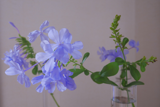 f:id:par321:20160902003548j:plain f:id:par321:20160902003548j:plain