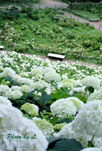 f:id:par321:20160904210610j:plain