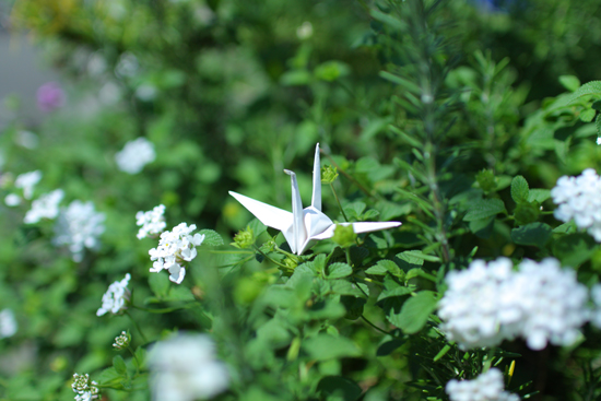 f:id:par321:20160904211831j:plain