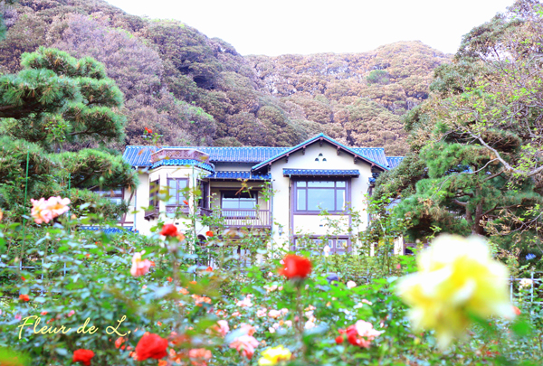 f:id:par321:20161021201730j:plain