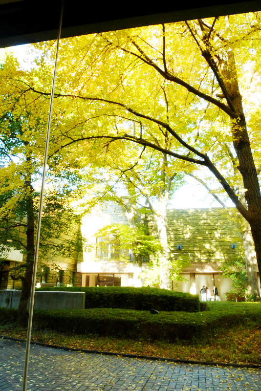 f:id:par321:20161114125513j:plain