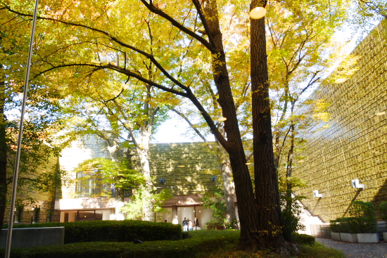 f:id:par321:20161114125632j:plain