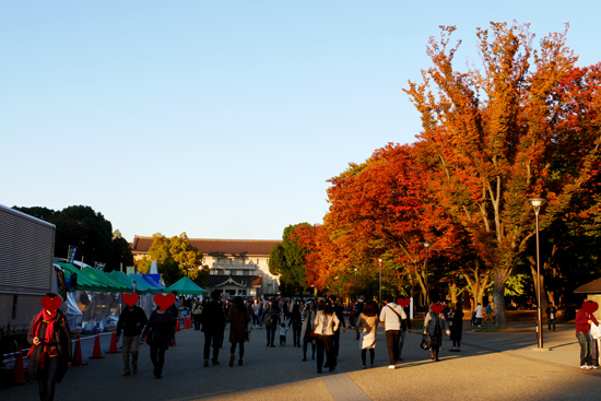 f:id:par321:20161114212800j:plain