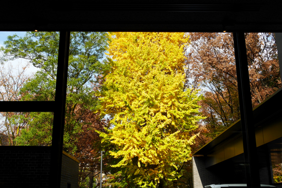 f:id:par321:20161204170731j:plain f:id:par321:20161204170731j:plain