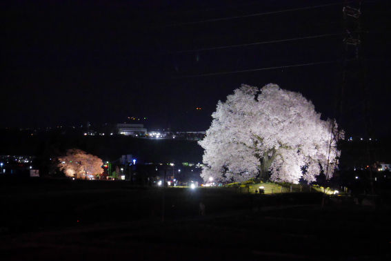 f:id:par321:20180419211308j:plain