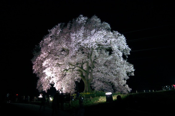 f:id:par321:20180419214549j:plain