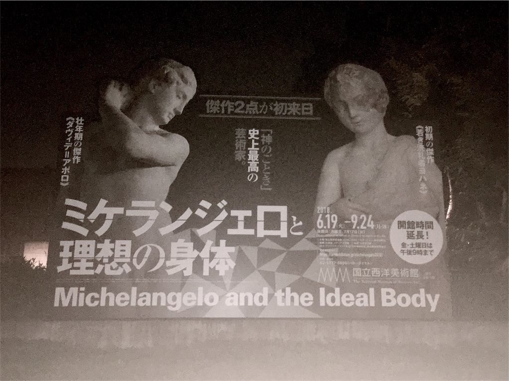 ミケランジェロと理想の身体の《ダヴィデ=アポロ》と《若き洗礼者ヨハネ》