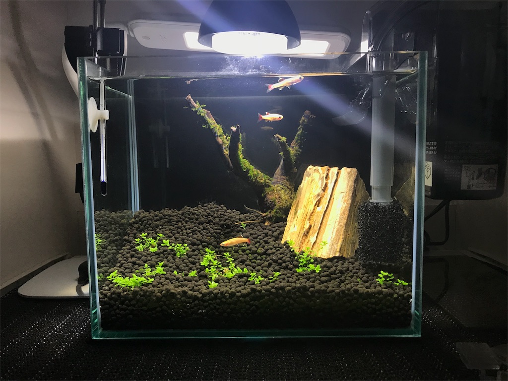 f:id:para-aqua:20180927120952j:image f:id:para-aqua:20180927120952j:image