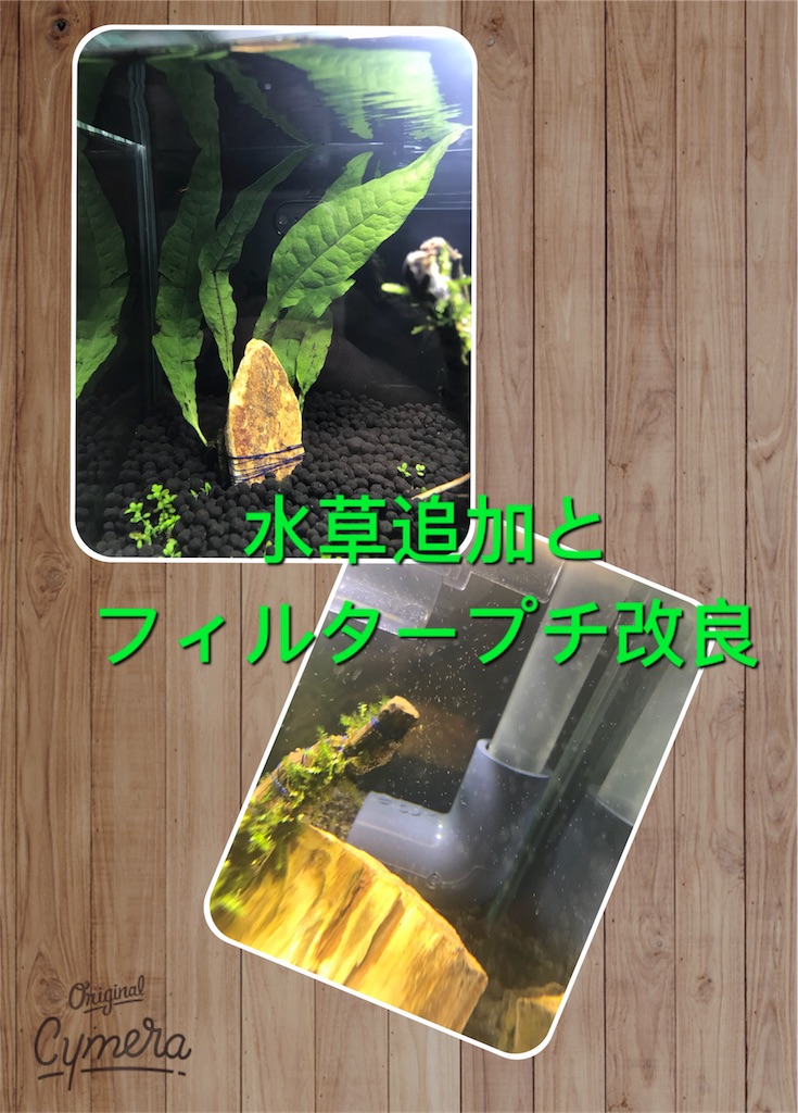 f:id:para-aqua:20181001124051j:image