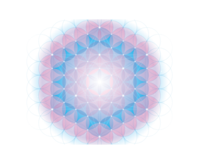 f:id:paradigmshifter:20200313210016p:plain f:id:paradigmshifter:20200313210016p:plain