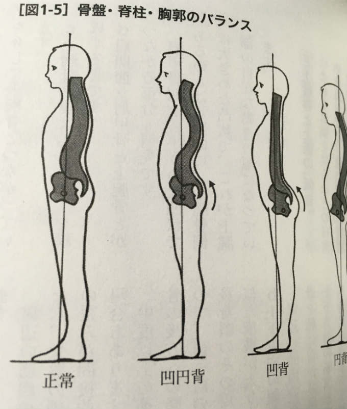 紳士服を嗜む Asahi Books 16 191 朗読社yahoo 店 通販 Yahoo ショッピング