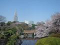 [新宿御苑][桜]20060330｜新宿御苑｜ドコモタワーを望む