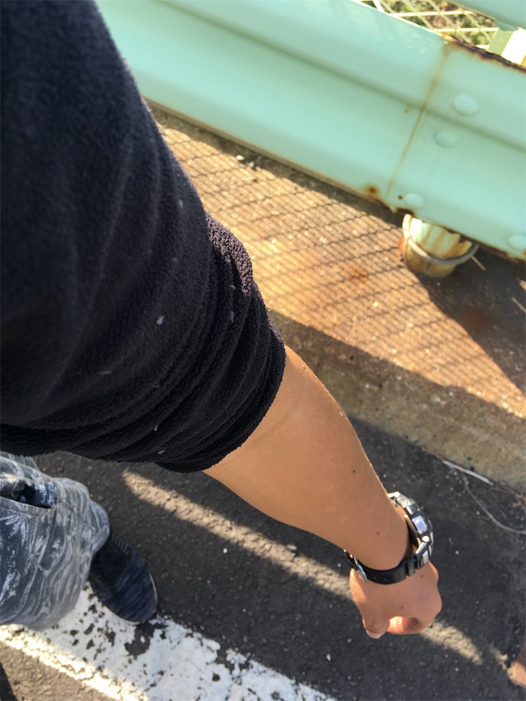 f:id:parbone:20181023234557j:image f:id:parbone:20181023234557j:image