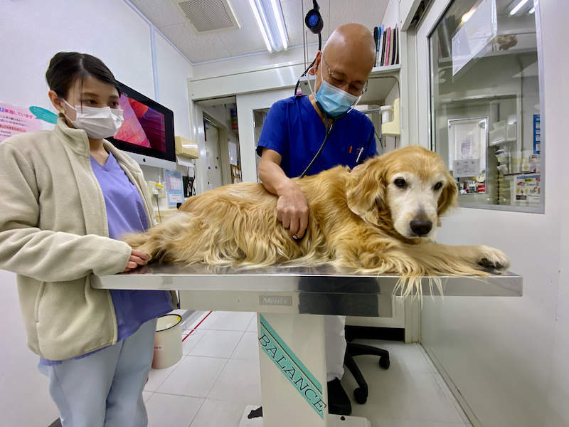 f:id:parc-ferme:20220108182806j:plain