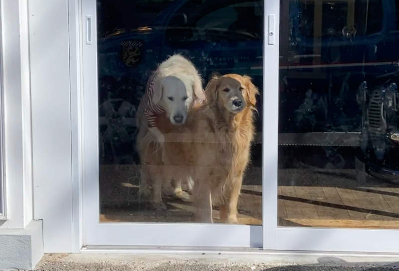 f:id:parc-ferme:20220218183025j:plain