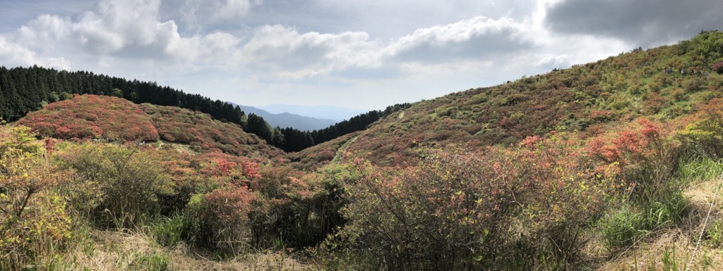 f:id:parc:20180512143746j:plain