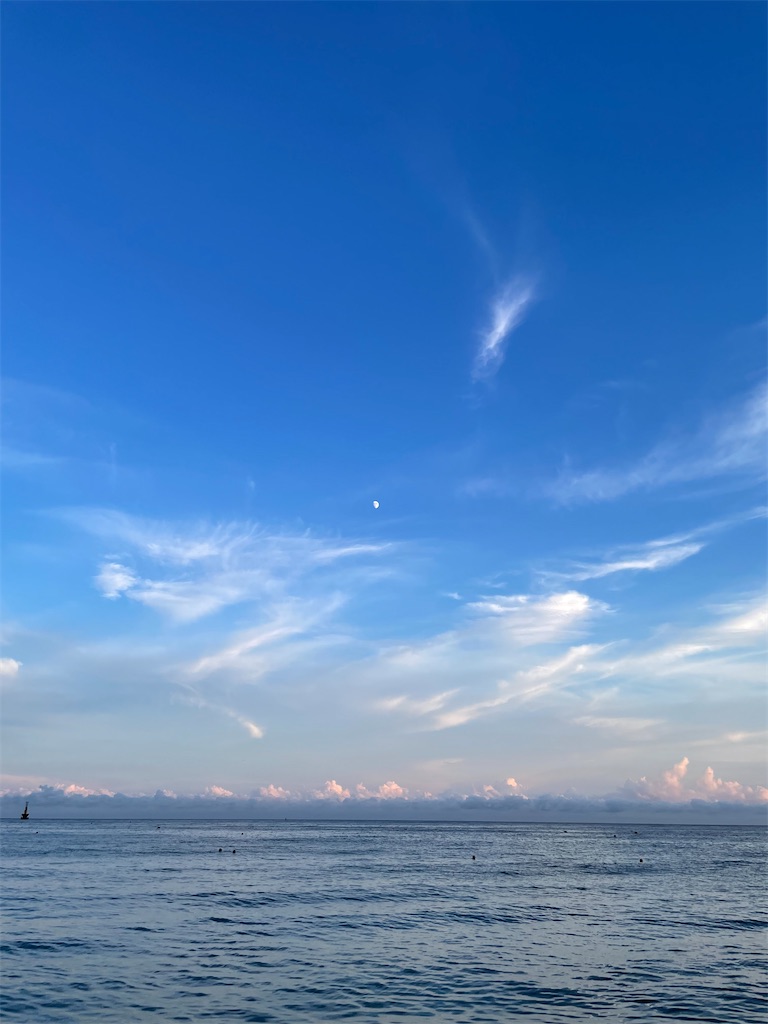 f:id:parfait__s:20241231132242j:image f:id:parfait__s:20241231132242j:image
