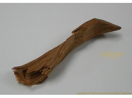 サンダルウッド 白檀 sandalwood 香料 - パルファン サトリの