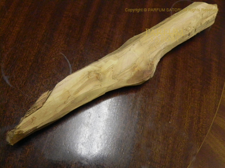 【いい香り】白檀　木彫り　木製象の彫刻 約15cm 白檀 サンダルウッド ハーブ天然ものがたり】白檀／サンダルウッド｜白木海月