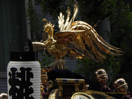 120610鳳凰.jpg