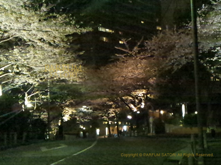桜雨 さくらあめ Sakuraame パルファン サトリの香り紀行
