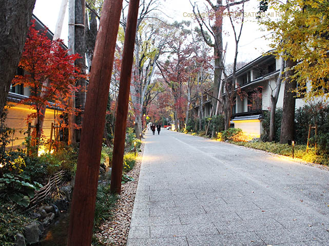 171205京都 糺の森.jpg