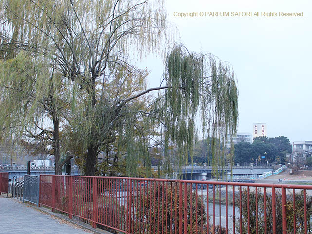 171205京都1-4出町柳.jpg
