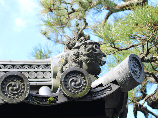 171205京都10 哲学の道 2.jpg