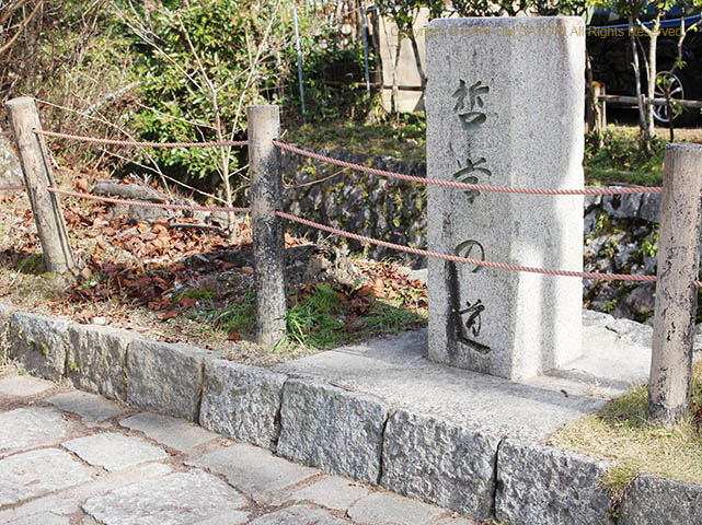 171205京都11 哲学の道.jpg