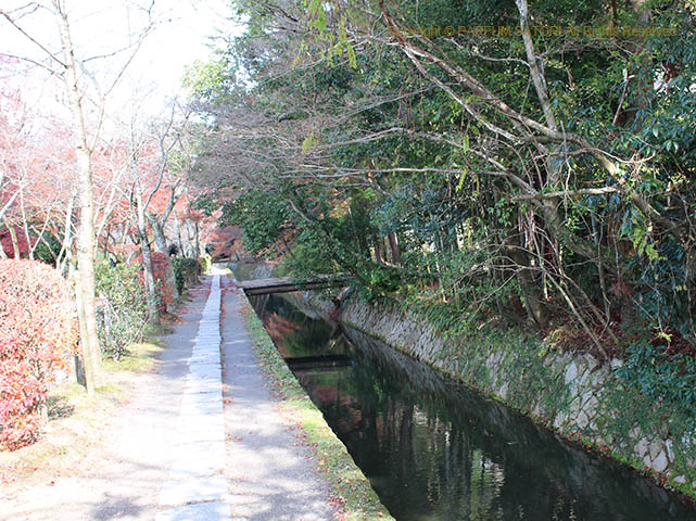 171205京都11-2 哲学の道.jpg
