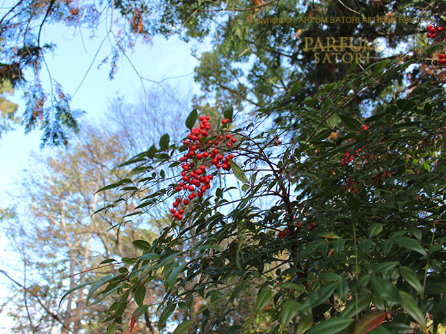 171205京都8 南禅寺 2.jpg